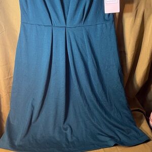 Merona Dress Simple but Elegant